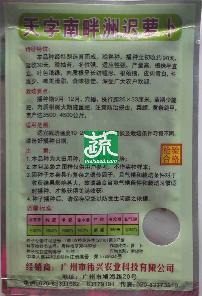 广州伟兴 天字南畔洲迟萝卜 晚熟种 冬性强 味美清甜
