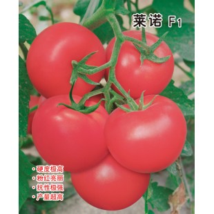 中国农科院 莱诺番茄种子 特早熟 生长旺盛 座果率高 丰产性好  番茄种子 1000粒装