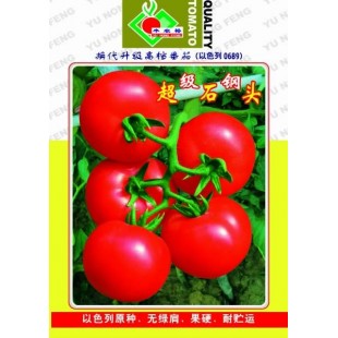 连州丰裕 超级石钢头番茄种子 以色列原种 无绿肩 果硬 耐贮运 番茄种子 1克装