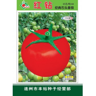 连州丰裕 红钻番茄 以色列原果种子 植株无限生长 生势强 早熟性较好 番茄种子 1克装