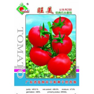 连州丰裕 旺美番茄种子 无绿肩 熟鲜果红 色泽鲜艳 果实美观 番茄种子 5克装