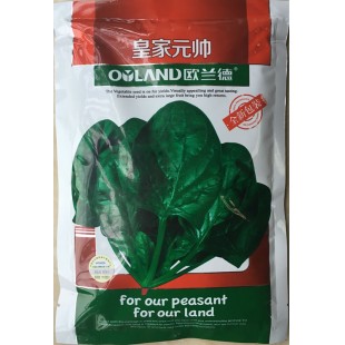 河南欧兰德  皇家元帅菠菜种子 生长势强，直立性好，叶色翠绿 菠菜种子 300克装