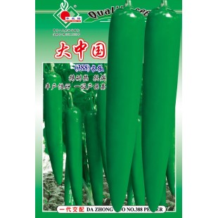 连州丰裕 大中国388长椒种子 特耐热 抗病 丰产性好 一级产品高 辣椒种子 5克装
