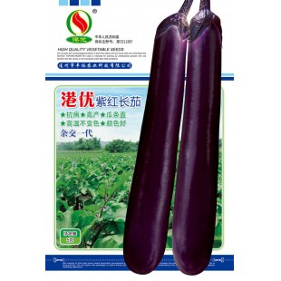 连州丰裕 港优紫红长茄种子 抗病 高产 瓜条直 高温不变色 茄子种子 5克装