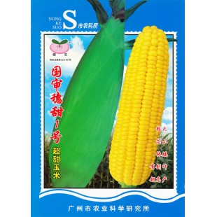 广州乾农 国审穗甜1号玉米种子 口感好 品质优 皮薄无渣 含糖量高 极适加工 亦可鲜食 玉米种子 200克装