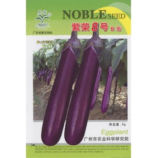 广州乾农 紫荣8号茄子种子 对青枯病 褐纹病有较强抗性 耐热 耐寒性较好 适应性广 茄子种子 5克装