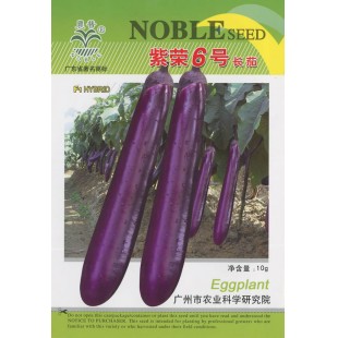 广州乾农 紫荣6号茄子种子 高抗青枯病 中熟 商品果靓 座果能力强 茄子种子 10克装