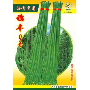 广州乾农 穗丰9号豆角种子 抗病 抗逆性强 荚肉较紧实 亩产可达2000公斤 豆角种子  250克装