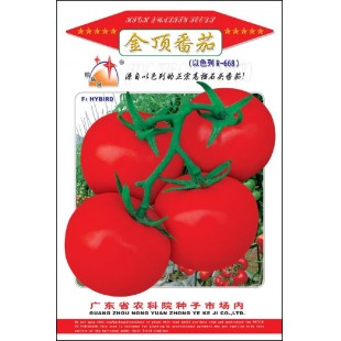 广州农源 金顶番茄种子 早熟 耐热 耐寒 耐湿 综合抗病性强 适应性广 肉厚 极耐贮运 番茄种子 1克装