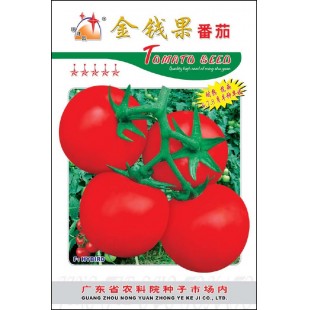广州农源 金钱果番茄种子 耐热 耐湿 适应性广 果实圆形 耐压耐运 番茄种子 5克装