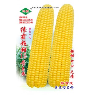 广州绿霸 绿霸超甜15号玉米种子 甜度高 口感佳 超甜 可口 无渣 玉米种子 454克装
