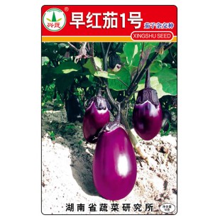 湖南兴蔬 早红茄1号茄子种子 紫红色 光泽好 果实卵圆形 早熟 茄子种子 10克装