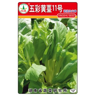 湖南兴蔬 五彩黄薹11号菜苔种子 早熟 优质 丰产 品质好 菜薹种子 10克装