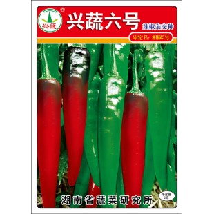 湖南兴蔬 兴蔬六号辣椒种子 丰产 商品性优 耐贮运 青果绿色 辣椒种子 8克装