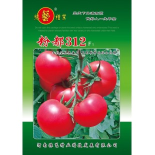 豫艺种业 粉都312番茄种子 突出优势 形大小较均匀 单果重230克左右 果色粉亮 良好的条件下萼片舒展 番茄种子 1000粒袋