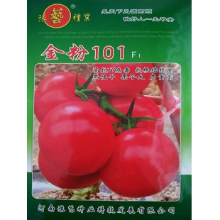 豫艺种业 金粉101番茄种子 果型圆整 果面光滑 单果重250g左右  亩高产可达10000公斤 番茄种子 1000粒袋