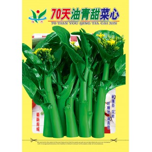 广州阳兴 70天油青甜菜心种子 茎苔特粗条 中迟熟 生长快 产量高 菜心种子 30克装