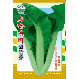 广州阳兴 扁哈大肉甜芥菜种子 中迟熟 品质好 定植后约40天初收 芥菜种子 30克装