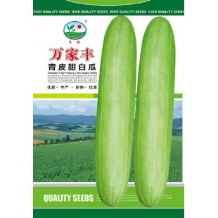 广州阳兴 万家丰青皮甜白瓜种子 青绿色 耐热 耐雨水 白瓜种子 15克装