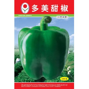 兴源多美 甜椒 中早熟 果型方正 深绿色 辣椒种子 1000粒装