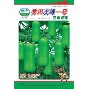 广州阳兴 秀田美绿一号四季短蒲瓜种子 结果力强 高产可达20000斤左右 蒲瓜种子 15克装