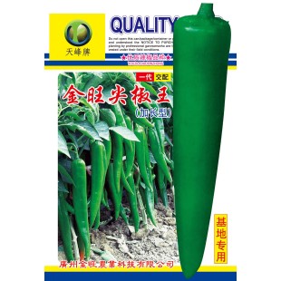 广州金旺 尖椒王种子 中早熟 耐热 耐湿 高产达6000公斤 尖椒种子 5克