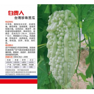 广州鹏洁 白贵人台湾珍珠苦瓜种子 优质品种 抗病性好 抗热 珍珠苦瓜种子 50粒