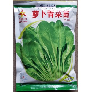 广州广联 萝卜青菜苗种子 早生 叶片鲜绿色 品质鲜嫩 萝卜青菜苗种子 400克