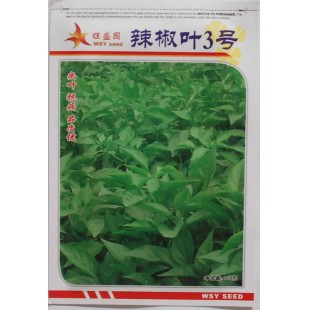 广州绿友 辣椒叶3号种子 嫩茎叶子生长快速 国内最为畅销的辣椒叶专用品种 辣椒叶种子 10克装