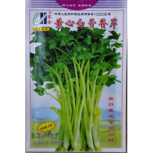 广州长和 黄心白骨香芹种子 中熟 抗热 耐湿 耐寒 亩产高达2500公斤左右 香芹种子 20克装