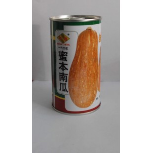 广州鸿丰 蜜本南瓜种子 瓜为棒锥形 单瓜重约5-6斤 亩产量4000公斤左右 南瓜种子 50克装