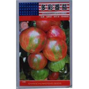 多彩番茄种子 成熟后果皮呈红 黄 绿相间的色彩 亩产3000公斤 番茄种子 100粒