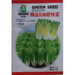 武汉星原 精品536甜快菜种子 株型较直立 苗菜在20天可收获 50可包心 甜快菜种子 10克装