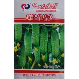 超早结节多黄瓜种子 瓜长20-25厘米 商品性好 抗病性强 适合春秋露地栽培 黄瓜种子 10克装