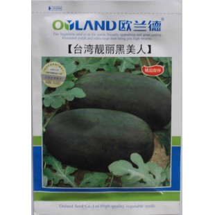 欧兰德台湾靓丽黑美人西瓜种子 果型修长 皮薄 种植简便 西瓜种子 300粒