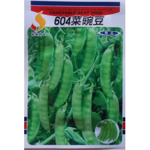 江西航城 604菜豌豆种子 产量高 荚形较大且平 清甜 豌豆种子 25克装