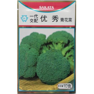香港高华 优秀青花菜种子 日本SAKATA选育 香港高华种业出品 青花菜种子 10克装