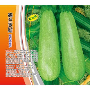 广州鹏洁 德兰克斯高档西葫芦种子 极早熟 瓜长22-24厘米 抗病好 西葫芦种子 500粒装