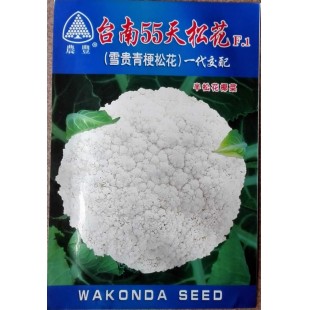 香港惟勤 台南55天松花菜种子 抗逆性强 定植采至收约55天 甜脆味美 松花种子 10克