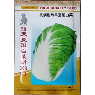 香港天河 50天夏阳白菜新303种子 极早生 抗热耐湿 抗病性好 白菜种子 10克装