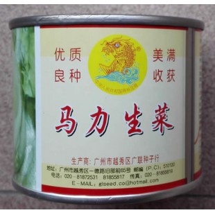 广州广联 马力生菜种子 包球型 结球坚实 耐热抗病 生菜种子 50克装