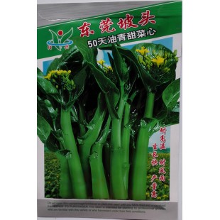 广州阳兴 东莞坡头50天油青甜菜心种子 中熟 播种至初收30天 商品性好 菜心种子 30克装