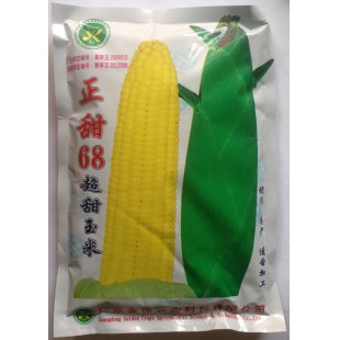 广东粤科 正甜68超甜玉米种子 甜度高 高产 适宜加工 玉米种子 250克装