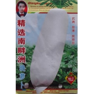 广西强坤 精选南畔洲晚萝卜种子 成熟早 抽苔晚 耐寒 萝卜种子 15克装