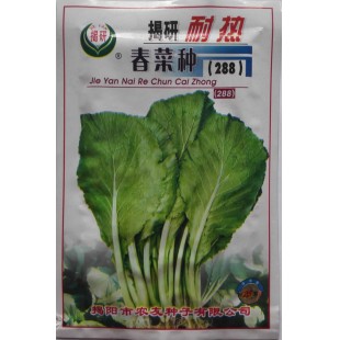 揭阳农友 耐热春菜种子 抗热抗病性强 适应性广 春菜种子 25克装