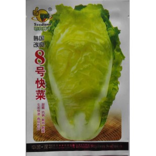 深圳喜良 韩国改良8号快菜种子 极早熟 生长势强 风味特佳 快菜种子 30克装