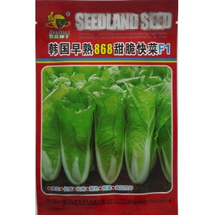 深圳喜良 韩国早熟868甜脆快菜种子 耐热耐湿 生长速度快 快菜种子 15克装