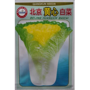 广西强坤 北京黄心白菜种子 早熟/生长期50-60天 黄心白菜种子 10克装