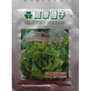 香港高华 全年耐抽苔意大利生菜种子 品质好 耐热耐寒 耐抽苔 生菜种子 25克装