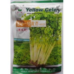 深圳范记 一号黄芹种子 耐抽苔 抗病力强 产量高 黄芹种子 200克袋装
